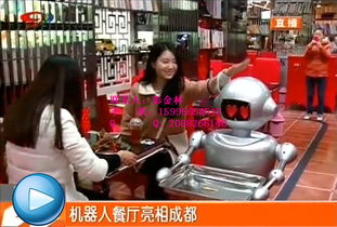 【机器人产业热情不减餐饮机器人厂家直销招代理_餐饮机器人价格|图片】-
